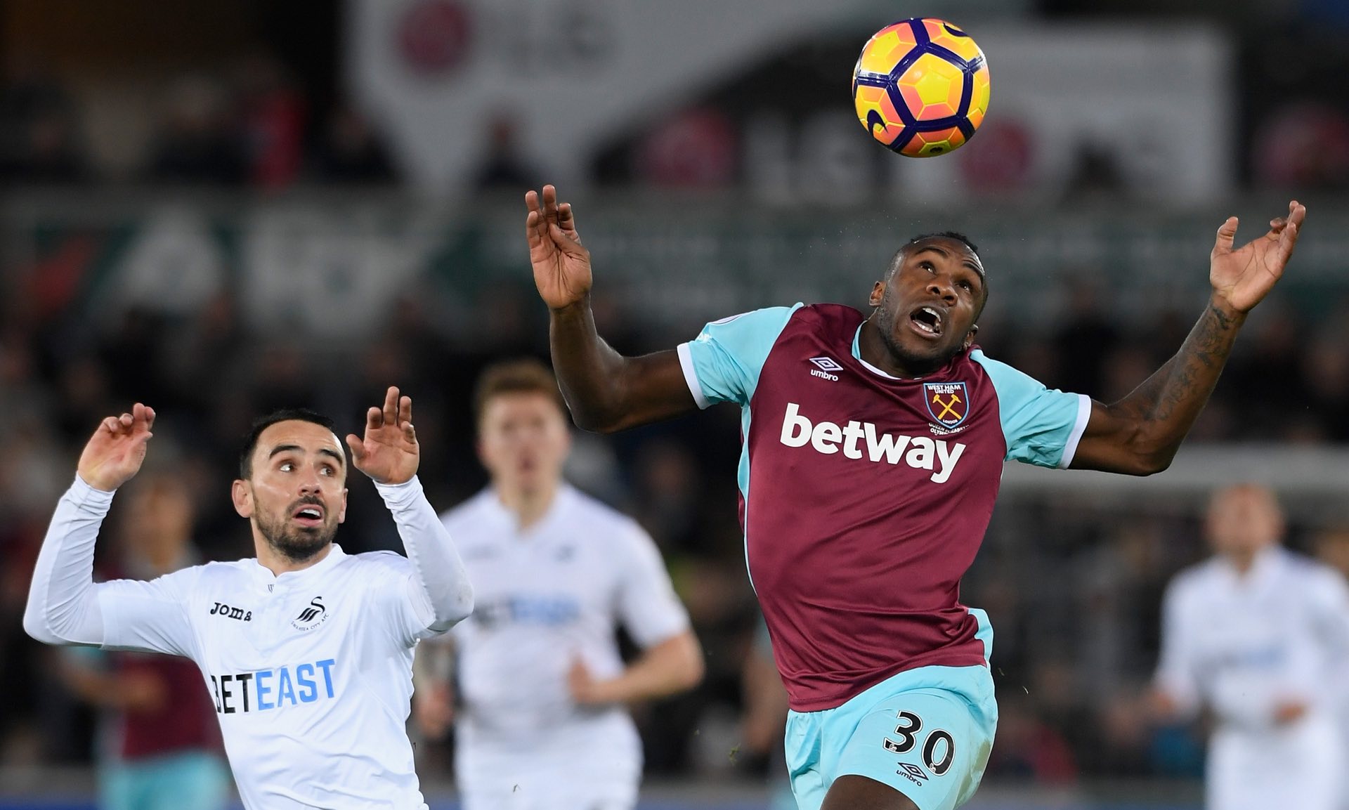 本文将深入 本文将深入